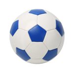 Student Training Football