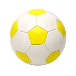 Student Training Football