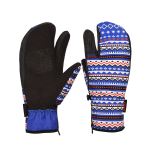 Snowboard Glove