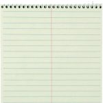Steno Notebooks
