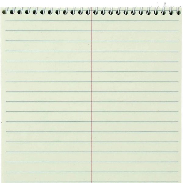 Steno Notebooks
