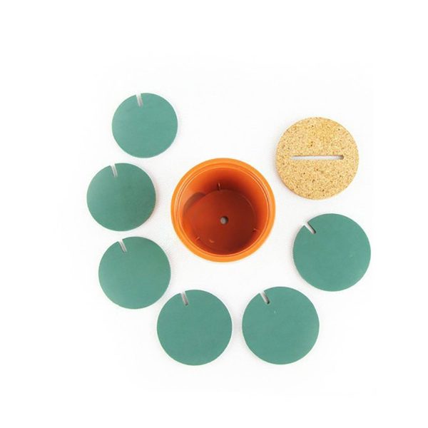 Non-slip Insulated Cactus Coaster