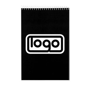 Steno Notebooks