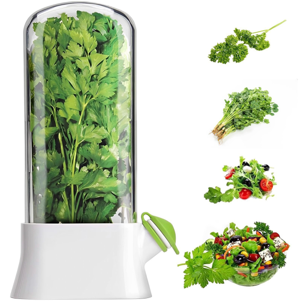 vegetable fresh-keeping box