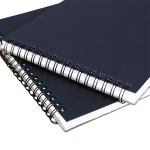 Steno Notebooks