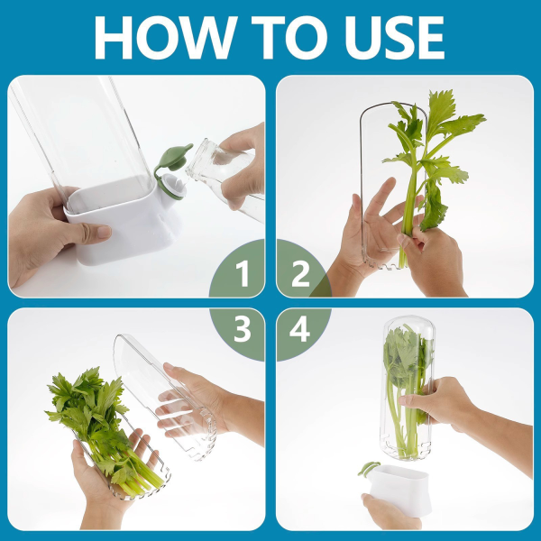 vegetable fresh-keeping box