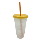 25OZ PP Full Color Printing Tumbler Color-changing Cup