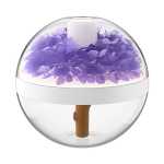 Rechargeable Preserved Flower Humidifier w/ Night Light
