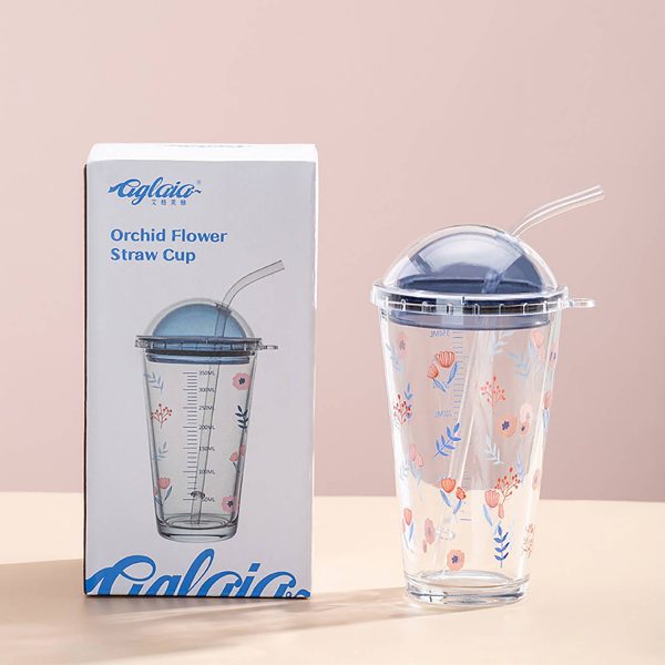 16Oz Heat-Resistant Cute Glass Cup W/ Straw