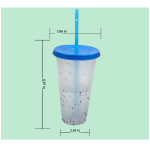 25OZ PP Full Color Printing Tumbler Color-changing Cup
