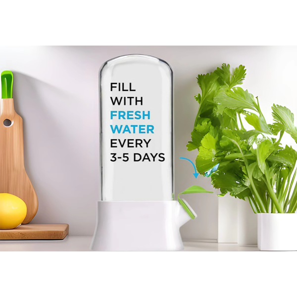 vegetable fresh-keeping box