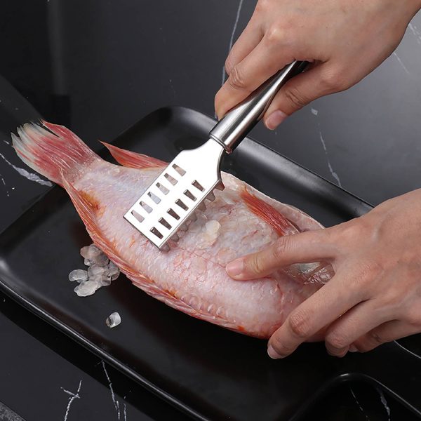 Stainless Steel Fish Scaler