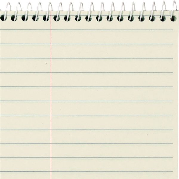 Steno Notebooks