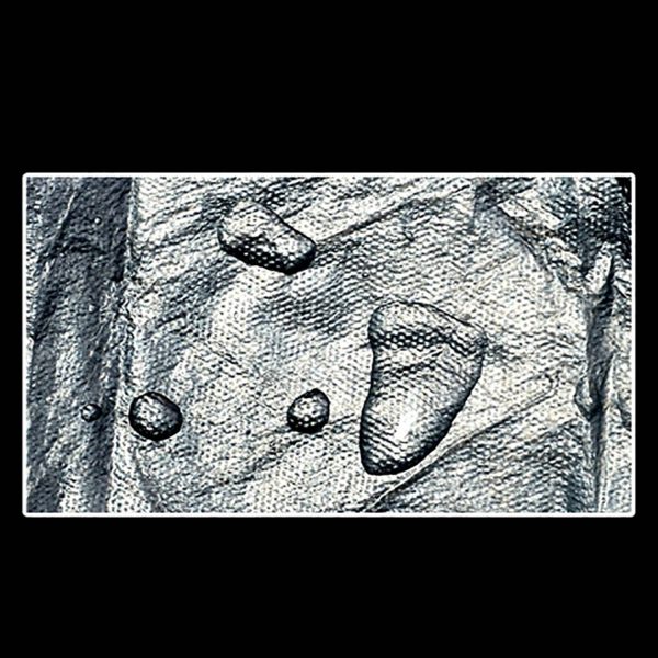Transparent Disposable Apron