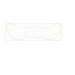 Waterproof Sweatproof Makeup Freckle Stickers