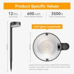 Outdoor Solar LED Garden Lights—Ground Insertion Decor