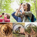 High-Power HD Mini Night Vision Binoculars-Outdoors